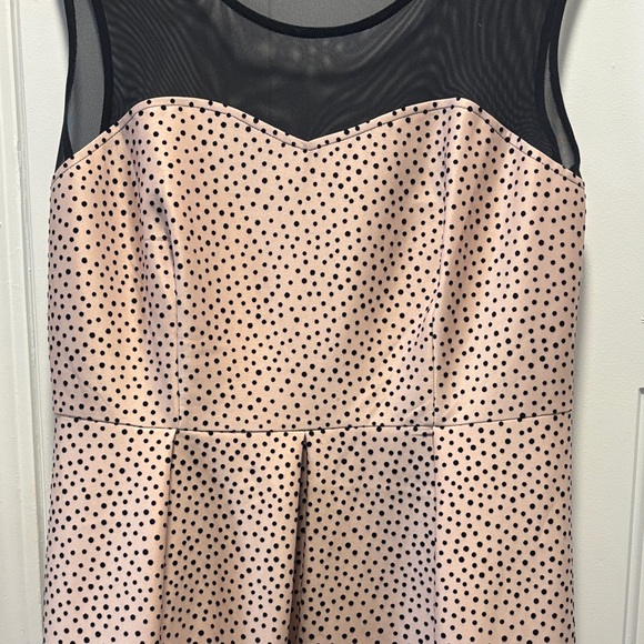 Enfocus Studio Pink and Black Ombre Polka Dot Dress - Picture 7 of 7